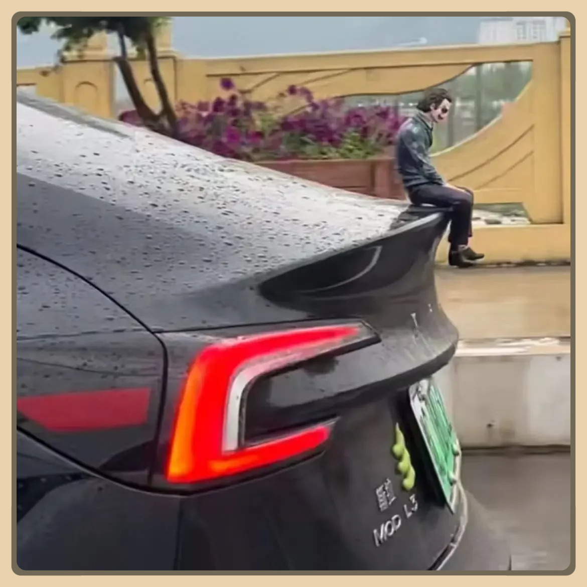 2025 H Joker Heath  Roof Decor - مراجعة Car Accessories Joker وسعره