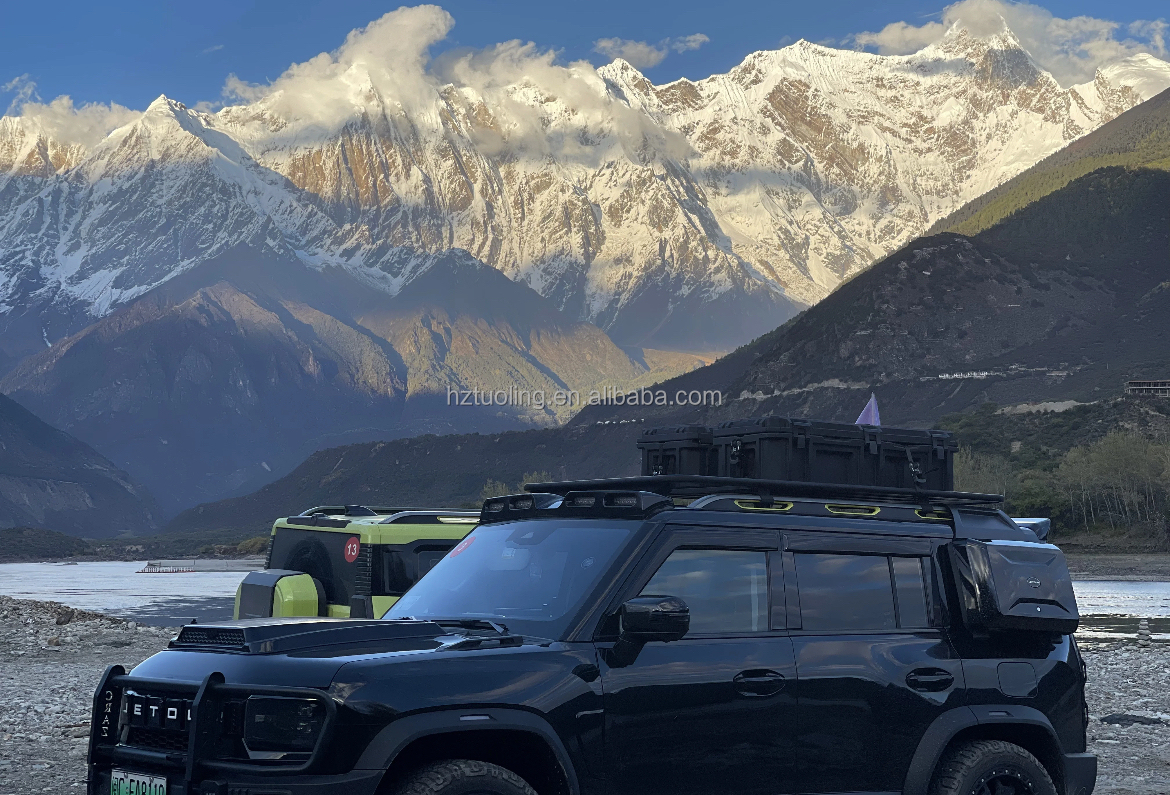 New Roof Rack Modification Lug - مراجعة Car Accessories Roof Rack وسعره
