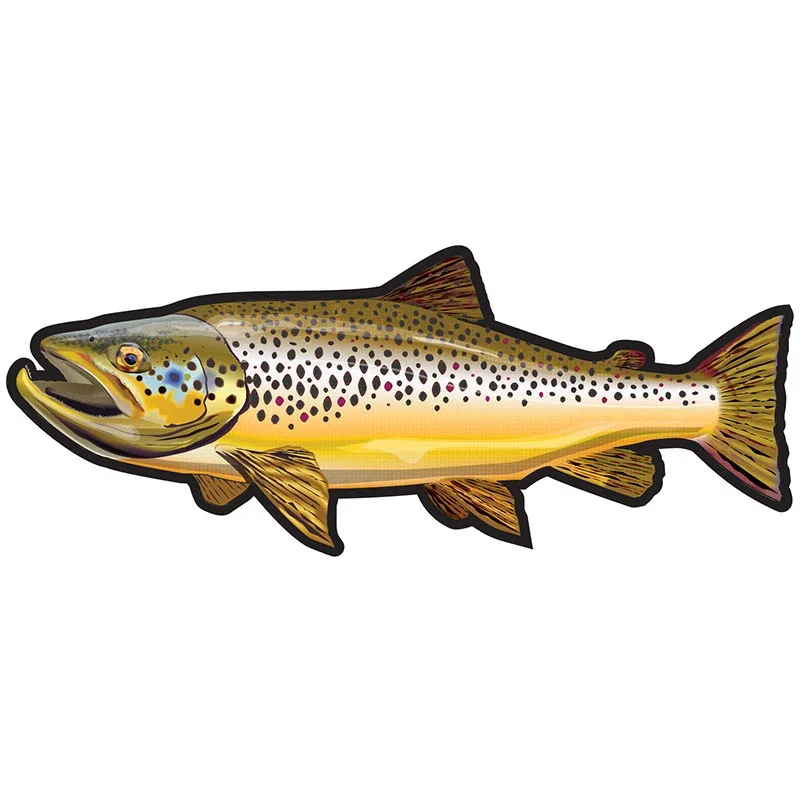 Car Stickers Wild Brown Trout  - مراجعة Car Accessories You Need وسعره