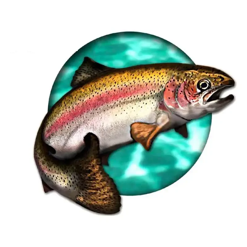 Car Stickers Wild Brown Trout  - مراجعة Car Accessories You Need وسعره